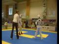 videos de Wolves Cup 2008 TKD  Turnier (TARIK von Samurai TKD Berlin)
