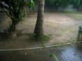 videos de MVI 0394