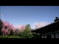 そうだ京都行こう-龍安寺 2012年2月 龍安寺