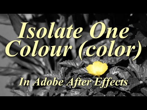 how to isolate color in after effects