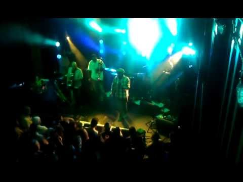 I am the Walrus Freebird Live