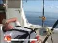 418 kg Marlin Azul em Sesimbra