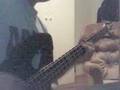 Green Day Governator Bass Cover