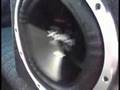 2 Sony Xplod Subwoofers