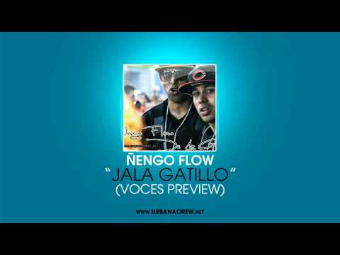 Ñengo Flow - Jala Gatillo (Remix Preview)