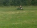 spin in buggie