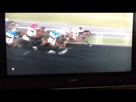 horse racing