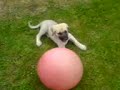 kangal ...Tank...Gelecegin Kangali ...Hasan �stboga