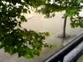 Rain Rain