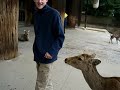 Attacked by a deer in nara