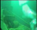 KYARRA WITH 707 DIVERS