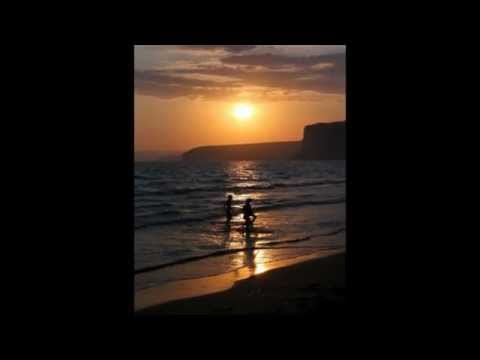 Voir la vidéo