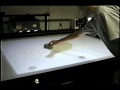 Perceptive Workbench