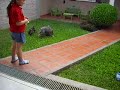 uma y lola.avi