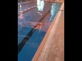 This is a video that the user has chosen on youtube