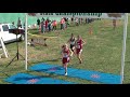 2008 OHSAA Girls Division 2 State Cross Country Championships