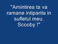 Pentru-Waiger-Priete