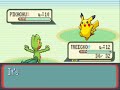Pokemon Ruby Destiny - First Battle vs Pkmn Trainer Tamashii