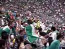 loca en el reliant apoyando a mexico