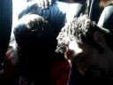 rapel nature ,carol dormi com gilsão no bus