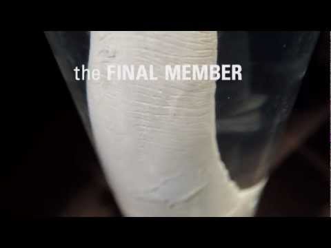 YouTube előnézeti kép