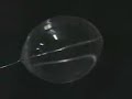 Air extraction from Alka-Seltzer / Water bubble in zero-g