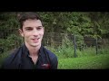 Alexander Rossi race preview: World Series by Renault, Nurburgring