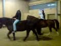 reiten in der Halle