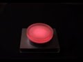 Mimetic Light