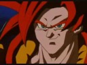 li shenron