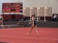Gymnastics 2006
