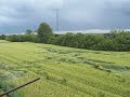 Click here to watch this video CROP CIRCLE Scandicci - Firenze
