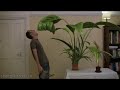 Plant Feed Plant Feed