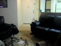 videos de Boomer the Bengal playing fetch