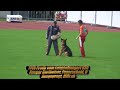SV BSZS 2009 Ulm Ruden protection service part 5