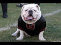 Tribute to Uga VI *RIP*