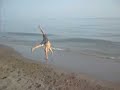 ulysse  motril