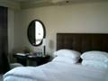 Bellagio Suite View Video