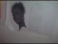 God 4 The WorkPlace!!_1.avi