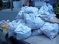 CABALLITO HERIDO OBLIGADO A TRABAJAR