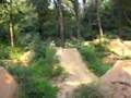 punjab trail run