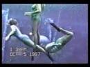 comedy53 afv comedy