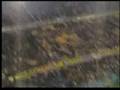 BOCA CAMPEON DE LA RECOPA 2008