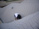 sliding on the roof sliding on the roof