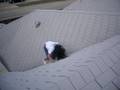 sliding on the roof