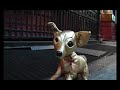 The Dog The Dog