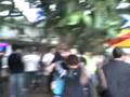 Phlorall PVT