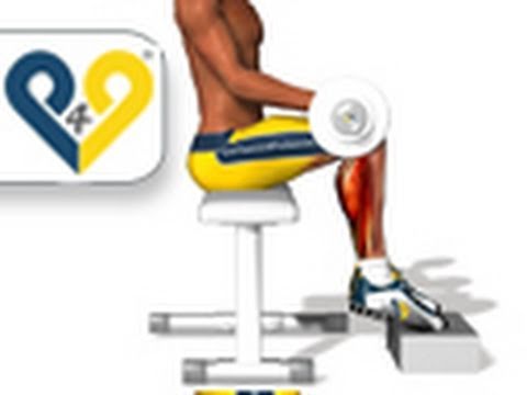 Musculation mollets assis avec barre