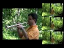 Zoran Kazakov, Fanfare de Cheseaux Zoran Kazakov, Fanfare de Cheseaux