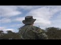 Dove hunting best shots